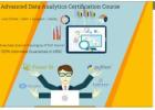 Data Analyst Course in Delhi.110025. Best Online Data Analytics Training by MNC Professional