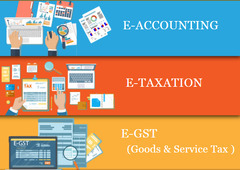 Accounting Course in Delhi, "Learn  Direct Tax Code 2025" 110028, SLA Accounting Institute