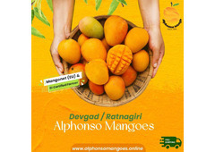 Buy Alphonso Mango Online