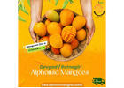 Buy Alphonso Mango Online