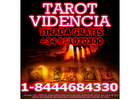 Best Psychics and Tarot Readers