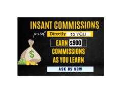 2 Hours to $900: Transform Your Day, Transform Your Life!