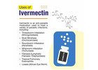 Buy Trusted Ivermectin Tablet Online Store