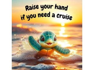 Do you Need a Cruise? Do you Need a Cruise?