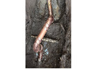 Best Leak Detection service in Wollongong