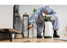 Best Pest Exterminator in Laguna