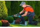 Best Garden Maintenance in Torbay