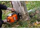 Best Tree Removal Service in Mid West