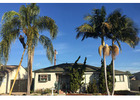 Culver City Tree Company - Gabriel Tree Services