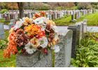 Best Funeral Flowers in Ashburton