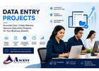 Data Entry Support Services for Companies