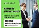 Expert Marketing Strategy Agency – Grow Your Business Fast!